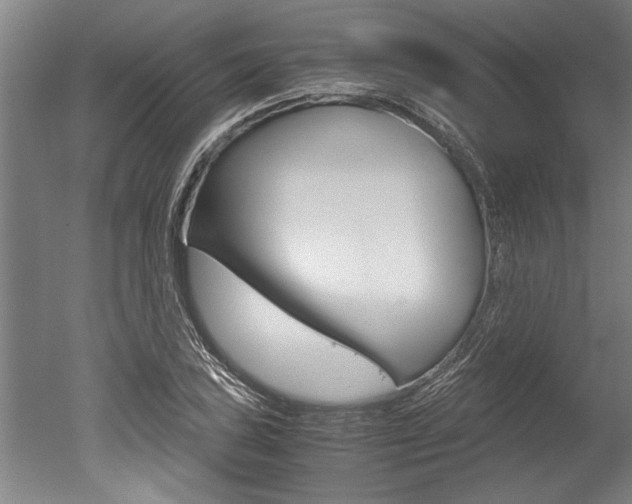 X0000051241027200506170810