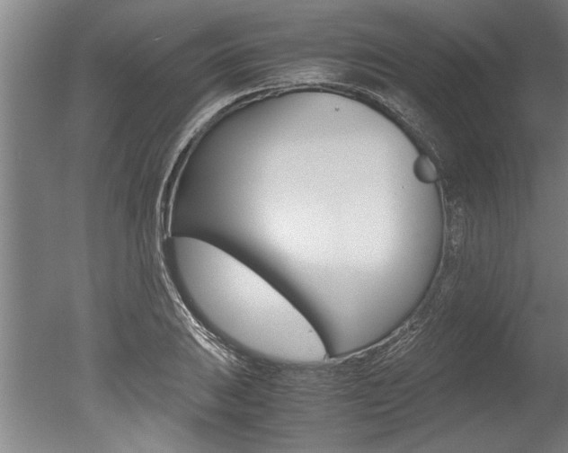 X0000051241031200506170810