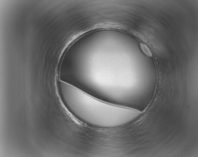 X0000051241040200506170810