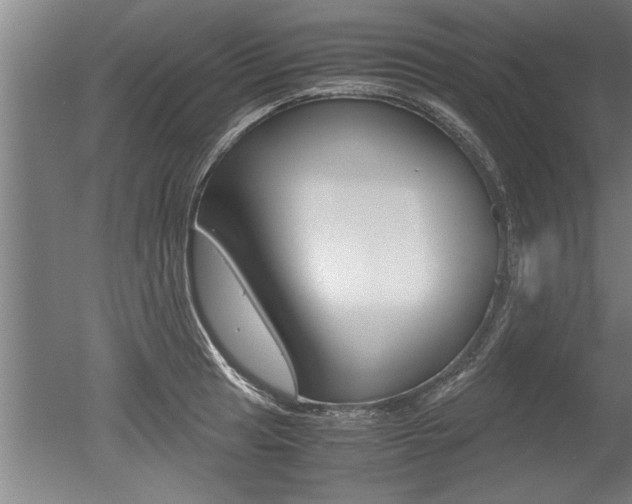 X0000051241041200506170810