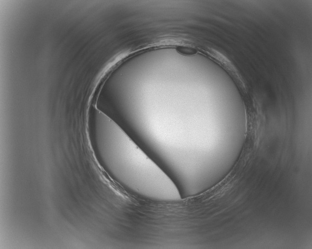 X0000051241043200506170810