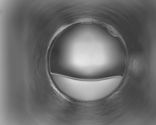 X0000051241045200506170811
