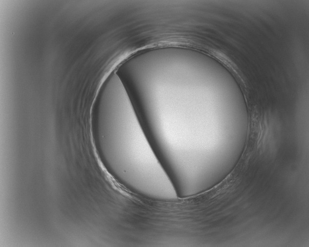 X0000051241047200506170811