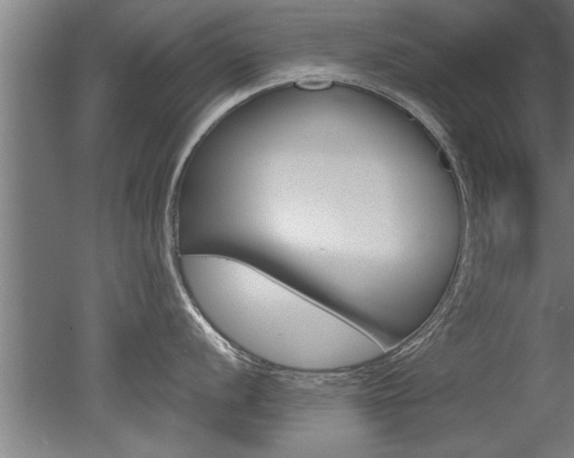 X0000051241056200506170811
