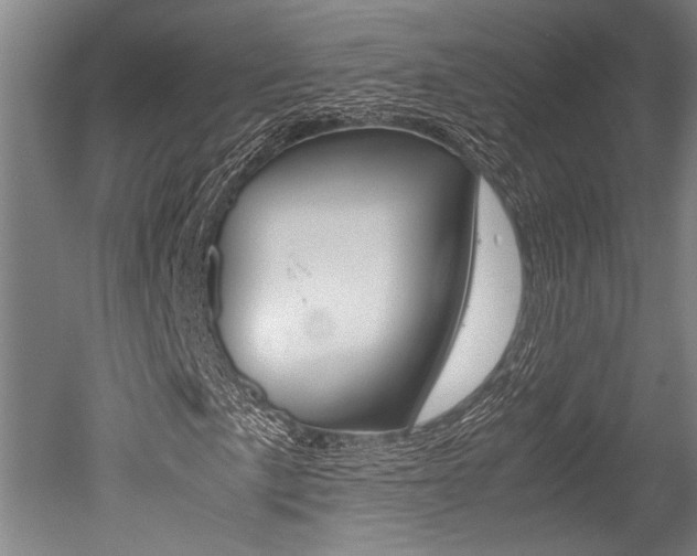 X0000051241057200506170810