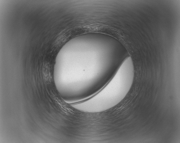 X0000051241058200506170810