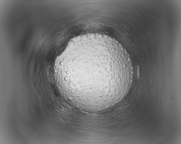 X0000051241059200506170810
