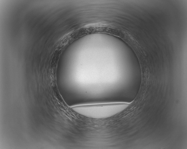 X0000051241062200506170810