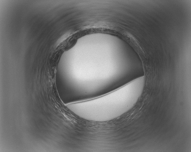 X0000051241064200506170810