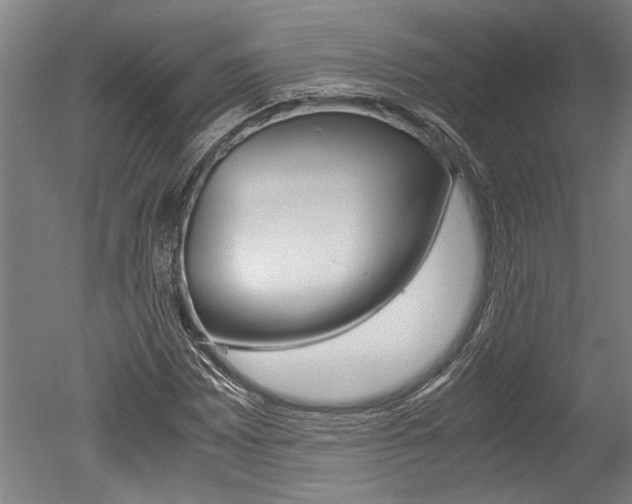X0000051241065200506170810