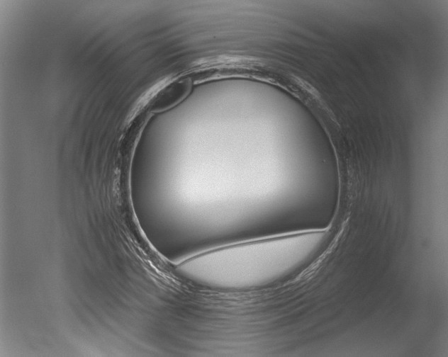 X0000051241066200506170810