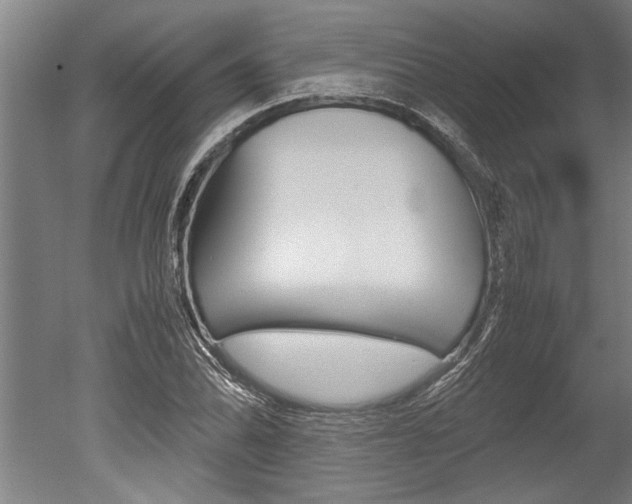 X0000051241070200506170810
