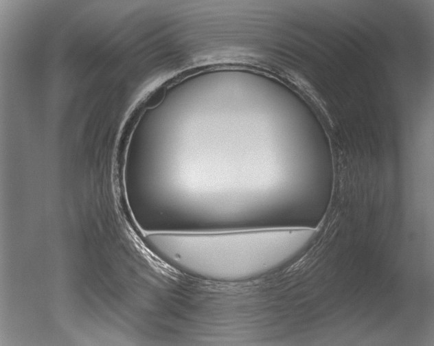 X0000051241072200506170810
