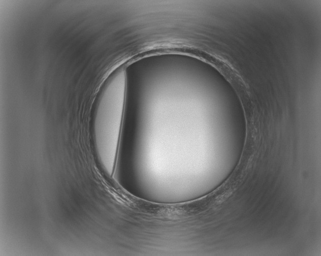 X0000051241073200506170810