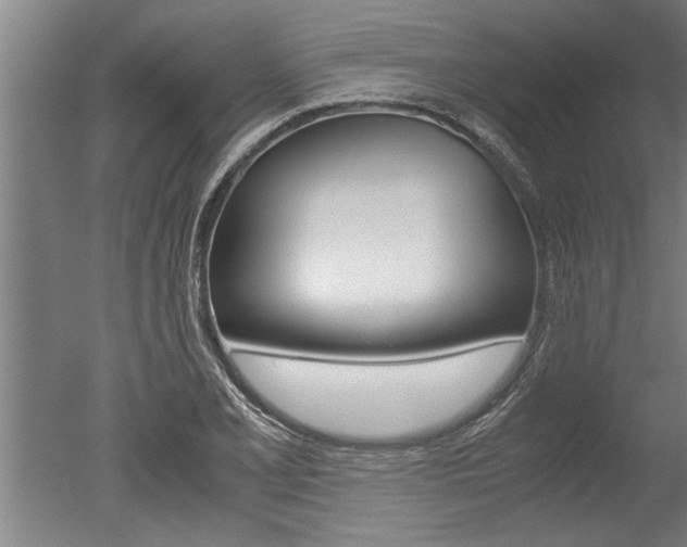 X0000051241077200506170810