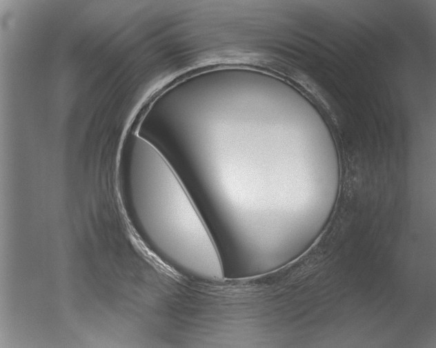 X0000051241080200506170810
