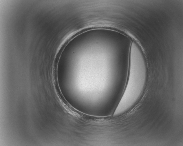 X0000051241085200506170809