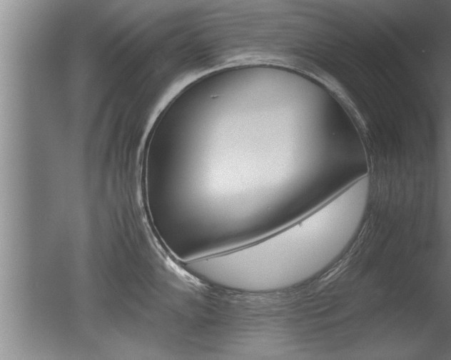 X0000051241102200506170809