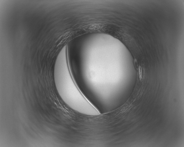 X0000051241107200506170808