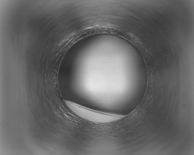 X0000051241110200506170808