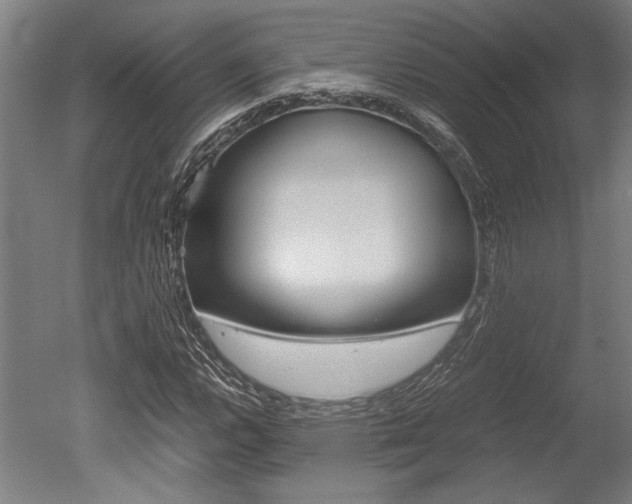 X0000051241112200506170808