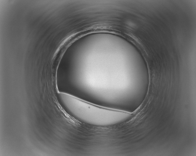 X0000051241115200506170808