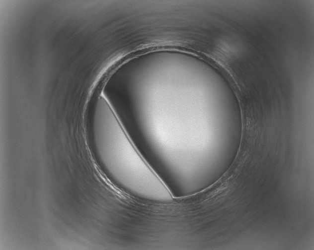 X0000051241119200506170809