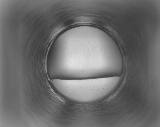 X0000051241121200506170809