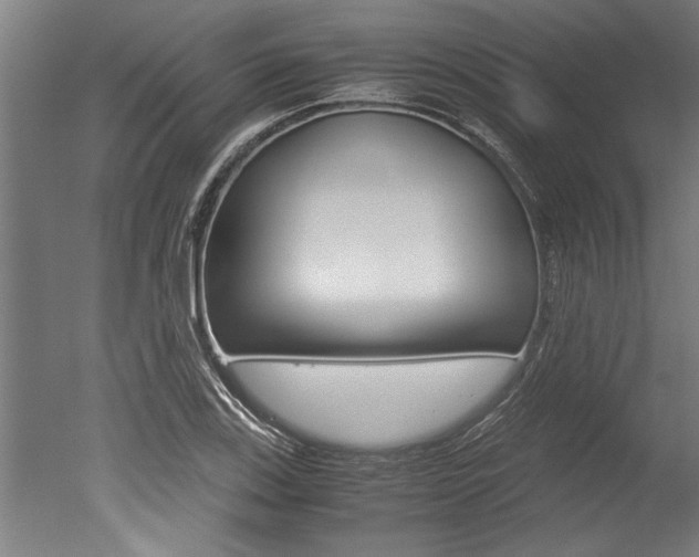 X0000051241123200506170809