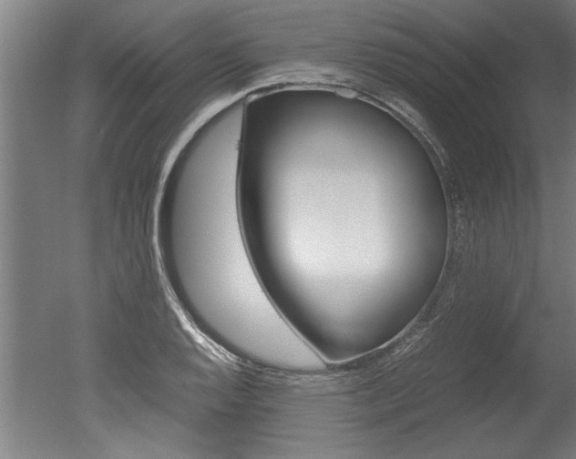 X0000051241128200506170809