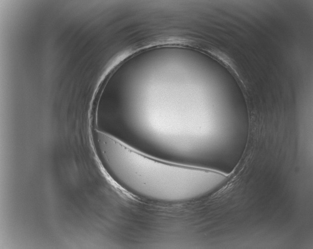 X0000051241135200506170809