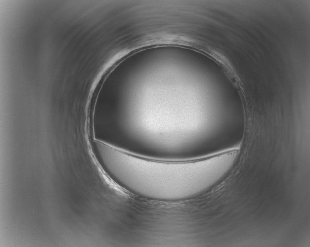 X0000051241136200506170809