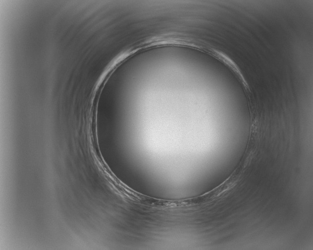 X0000051241146200506170809