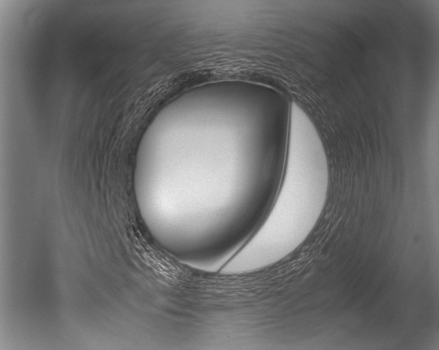 X0000051241153200506170808