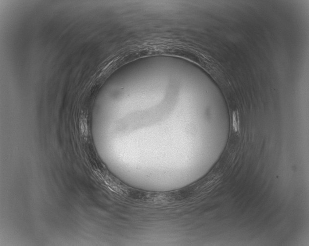 X0000051241155200506170808