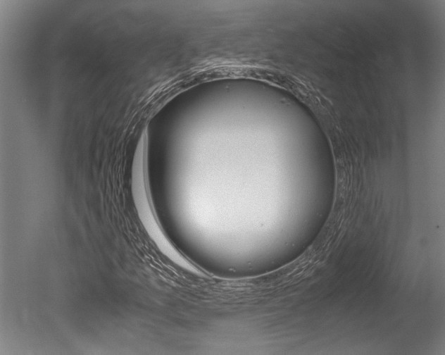X0000051241157200506170808