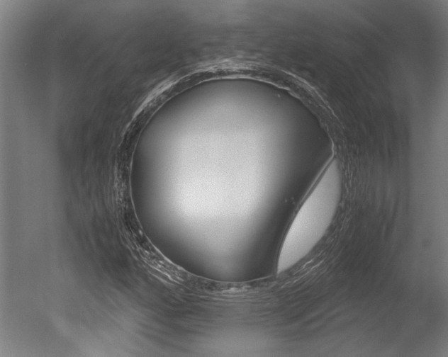 X0000051241160200506170808
