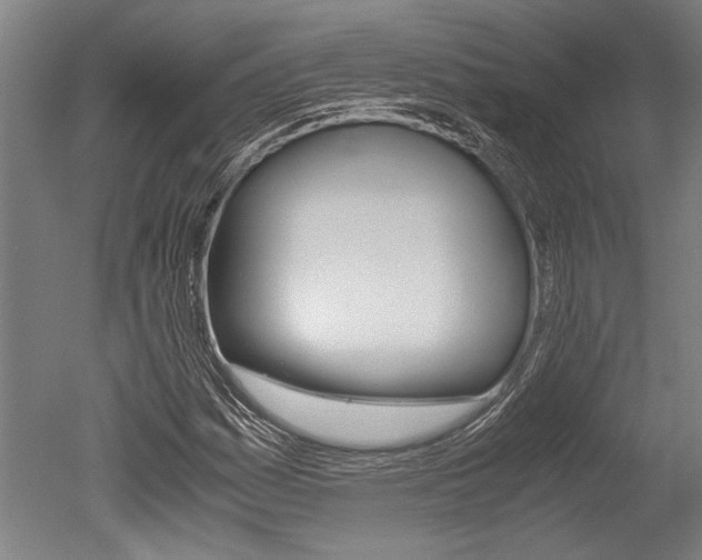 X0000051241161200506170808