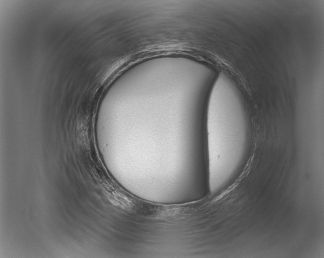X0000051241162200506170808