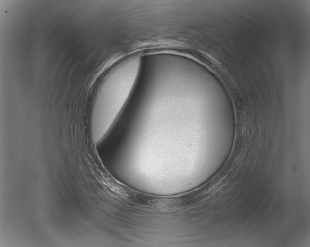 X0000051241163200506170808