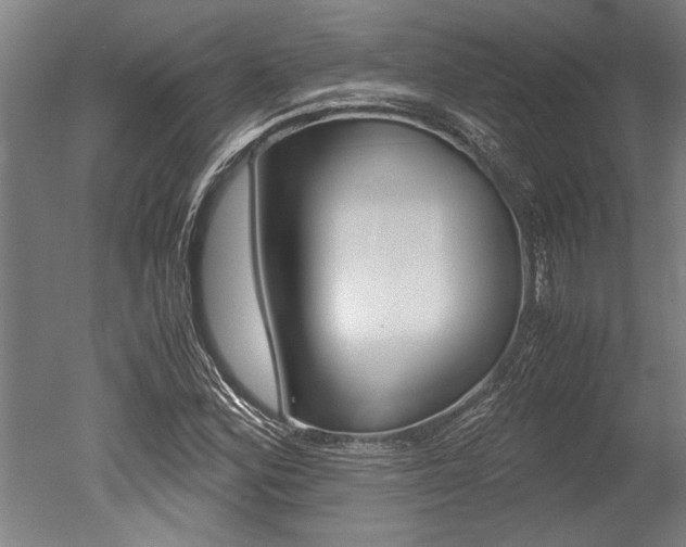 X0000051241164200506170808