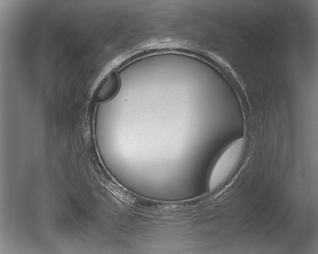 X0000051241167200506170808