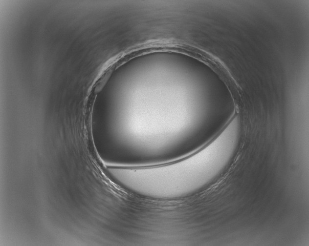 X0000051241168200506170808