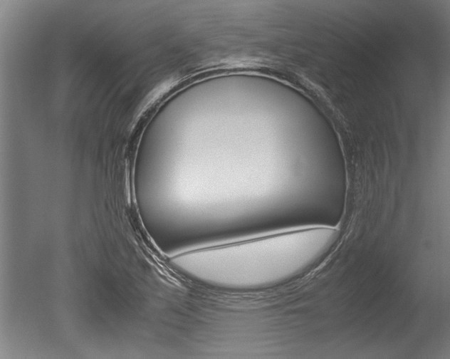 X0000051241171200506170808