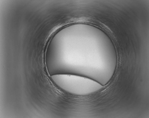 X0000051241174200506170808