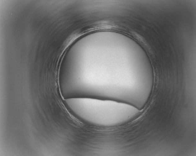 X0000051241178200506170808
