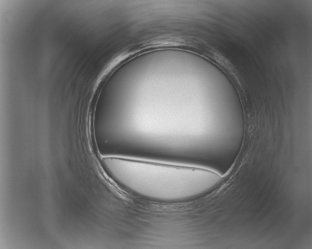 X0000051241179200506170808