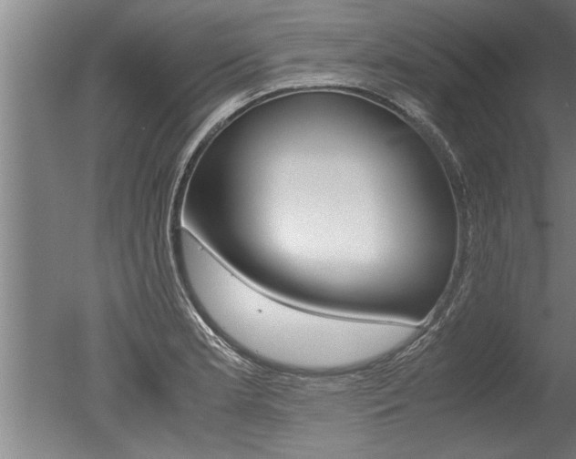 X0000051241181200506170808
