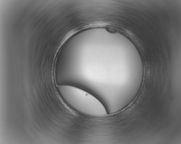 X0000051241186200506170808