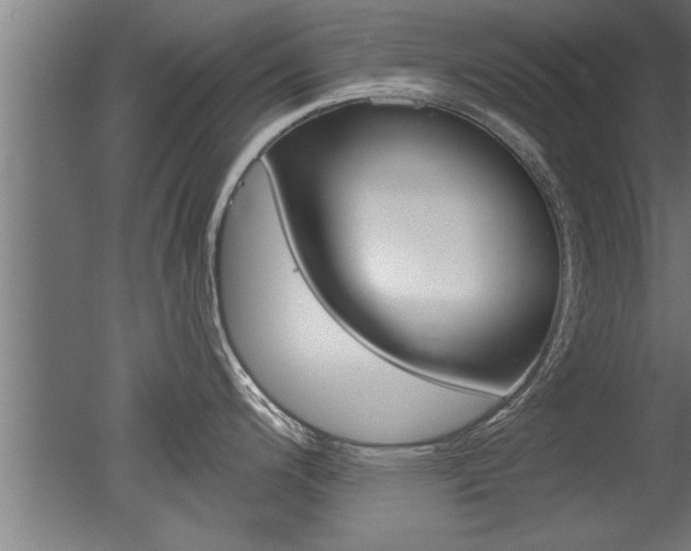 X0000051241200200506170807